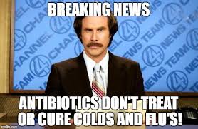 Image result for antibiotics meme