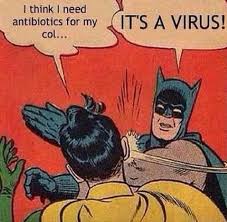 Image result for antibiotics meme